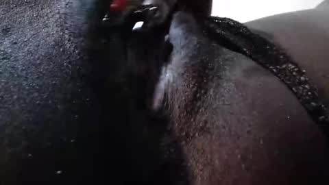 Snapshot of micmash_ chatting on December 2025 12:43:01 PM mickey online show from December 2025 12:43:01 PM