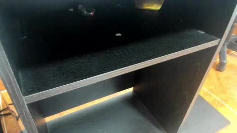 Mia online show from February 2025 11:10:02 AM