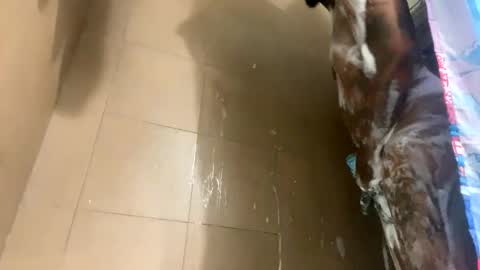 mikeyblunt online show from February 2025 01:28:02 PM