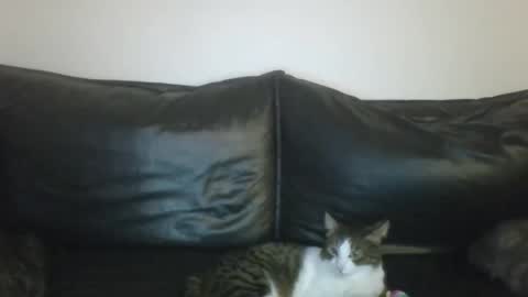 MilaGabor online show from January 2026 07:18:01 PM