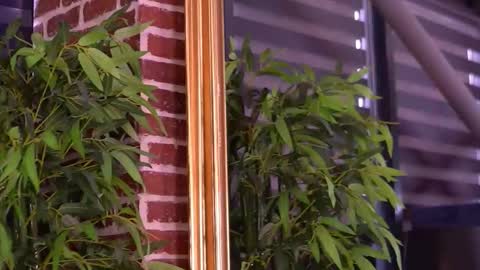 Milla online show from January 2026 07:54:01 AM