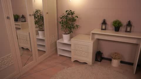 Snapshot of minimeows chatting on November 2025 04:52:01 PM Mira online show from November 2025 04:52:01 PM