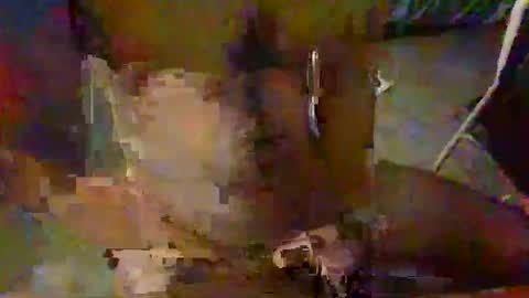 Snapshot of minoas31 chatting on December 2024 06:46:02 PM minoas31 online show from December 2024 06:46:02 PM