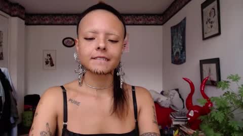 Anarkitten  online show from February 2025 07:10:01 PM