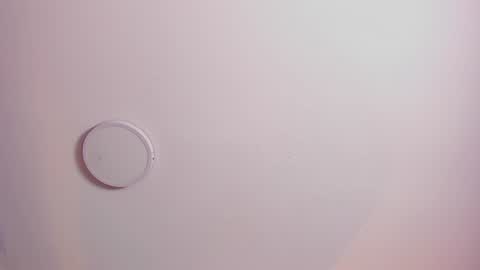 Miss online show from December 2024 08:47:01 PM