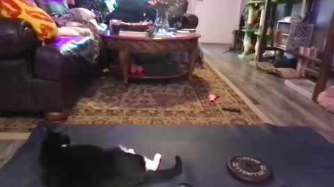 Jaxie online show from February 2026 10:52:02 PM