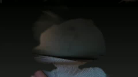 Snapshot of mistashipu chatting on October 2025 07:52:02 AM mistashipu online show from October 2025 07:52:02 AM