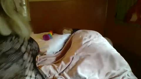 MichelleBunny7 online show from February 2025 06:48:01 PM