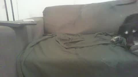 mixandflair online show from December 2024 08:47:02 PM