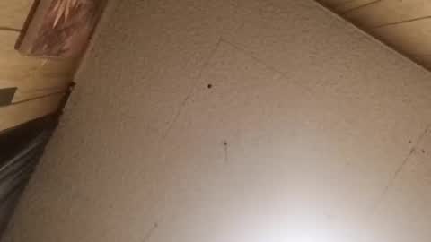 mjmichaelware online show from February 2026 06:55:02 AM