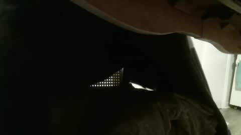 mmrstp online show from January 2025 12:01:01 PM