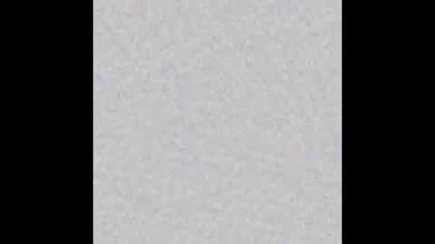 Snapshot of mmshields chatting on January 2025 10:26:01 PM ThickCockSkinnyB online show from January 2025 10:26:01 PM