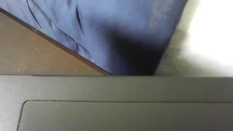 moneyboysaveg548 online show from November 2025 04:06:01 PM