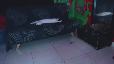 Xavier Rodriguez online show from November 2025 01:11:01 PM