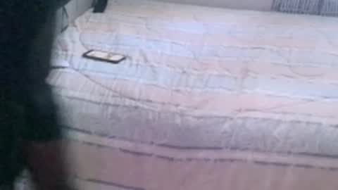 montydxxx2 online show from February 2026 09:18:02 PM