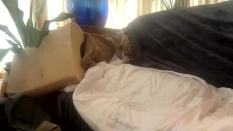 Snapshot of moon_man5 chatting on September 2025 04:01:01 PM Mitchell online show from September 2025 04:01:01 PM