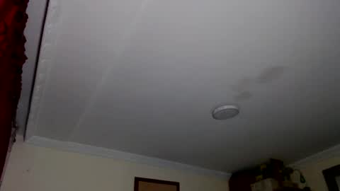 Abelardo online show from October 2025 05:43:02 AM