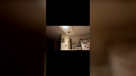 Snapshot of morethanenough437431 chatting on November 2025 09:44:02 AM morethanenough437431 online show from November 2025 09:44:02 AM