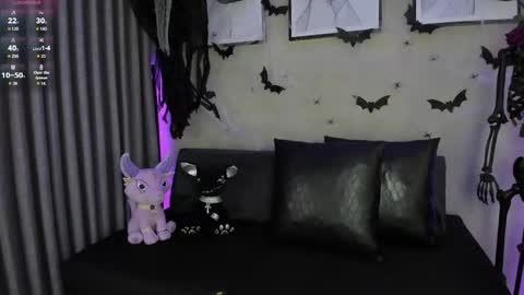  Morgan  online show from November 2025 11:55:02 AM