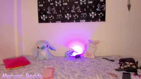 Snapshot of morgan_r13 chatting on December 2024 02:20:02 AM Morgan-Redds online show from December 2024 02:20:02 AM