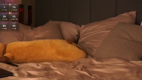 Snapshot of morphesoull chatting on December 2024 11:26:02 PM morphe online show from December 2024 11:26:02 PM