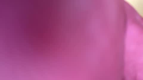 Snapshot of mr6ray chatting on January 2025 03:40:02 AM mr6ray online show from January 2025 03:40:02 AM