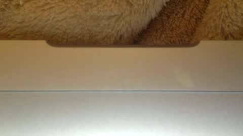 mr_himm online show from April 2026 12:56:01 AM