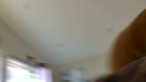 Snapshot of mrandmrskinkyfuckery chatting on August 2026 01:29:02 AM Sterling Lena online show from August 2026 01:29:02 AM
