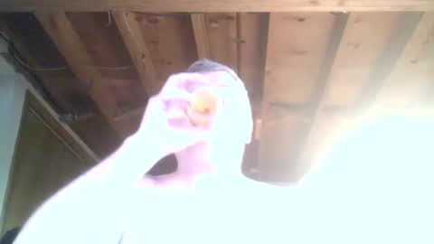 mrblade666 online show from January 2025 08:47:01 PM