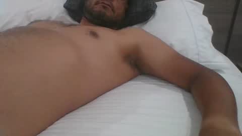 Gato online show from December 2024 08:00:02 PM