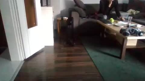 Nikola online show from February 2025 11:02:02 AM