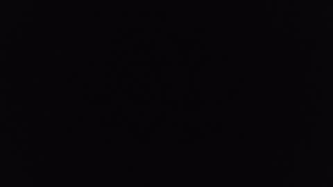 mrj1979 online show from December 2024 01:22:01 PM