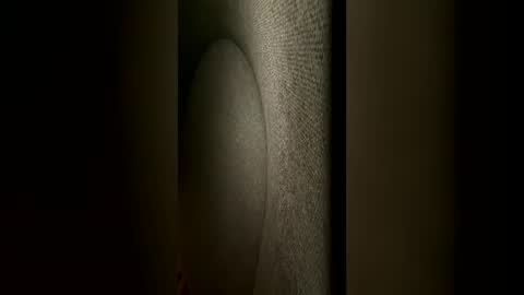 Snapshot of mrmaxxxxi chatting on June 2026 07:05:02 AM mrmaxxxxi online show from June 2026 07:05:02 AM