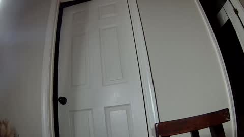 Snapshot of ms_queen chatting on December 2024 03:37:02 AM missqueenbbw online show from December 2024 03:37:02 AM