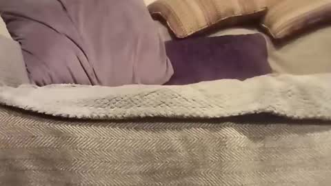 Snapshot of mtx9889 chatting on October 2025 10:47:02 PM mtx9889 online show from October 2025 10:47:02 PM