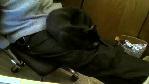 muller520 online show from February 2025 05:06:01 PM