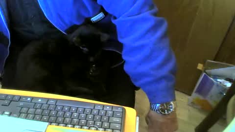 muller520 online show from February 2025 06:43:02 PM