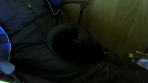 muller520 online show from October 2025 01:57:02 PM