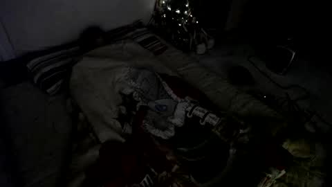 Snapshot of muse_online chatting on December 2024 08:00:02 AM Muse Ali  online show from December 2024 08:00:02 AM