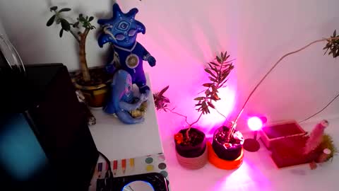 Snapshot of muse_online chatting on December 2024 02:14:02 PM Muse Ali  online show from December 2024 02:14:02 PM