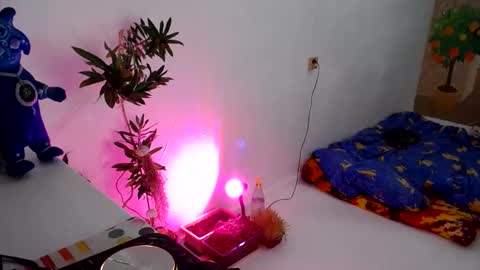 Snapshot of muse_online chatting on December 2024 05:18:02 PM Muse Ali  online show from December 2024 05:18:02 PM