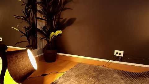 Maite online show from February 2025 05:58:01 PM