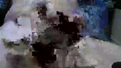 Snapshot of mycock594498 chatting on January 2025 03:12:02 PM mycock594498 online show from January 2025 03:12:02 PM