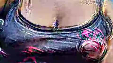 myhoney_hot online show from February 2026 12:28:01 PM