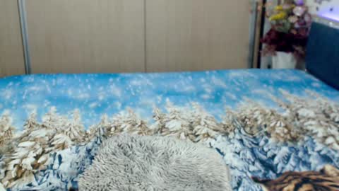 Myrabelle24 online show from March 2025 10:44:02 AM