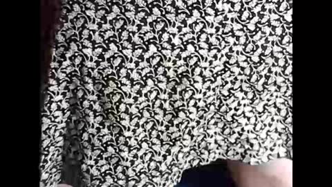 Sissy Mike online show from February 2025 07:09:01 PM