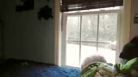 Snapshot of mysexiness0 chatting on February 2026 02:39:01 PM mysexiness0 online show from February 2026 02:39:01 PM