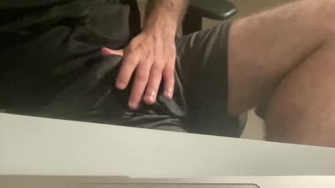 myStallion online show from October 2025 08:42:02 PM