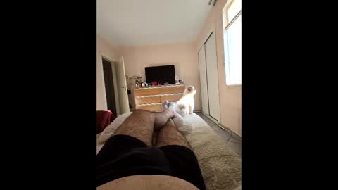 Snapshot of mysterbearmg chatting on September 2025 06:46:02 PM mysterbearmg online show from September 2025 06:46:02 PM