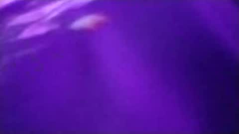 n298033 online show from September 2025 05:05:02 PM